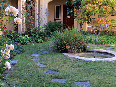 Courtyard and garden